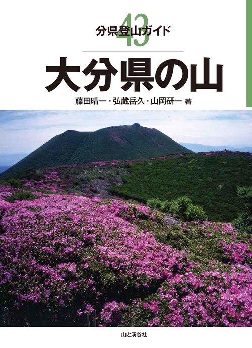 大分県の山