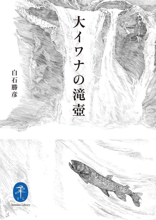 大イワナの滝壺