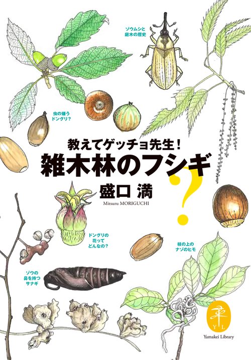 教えてゲッチョ先生!雑木林のフシギ