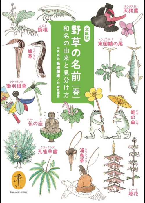 野草の名前 和名の由来と見分け方 春