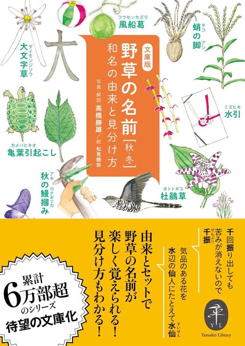 野草の名前 和名の由来と見分け方 秋・冬