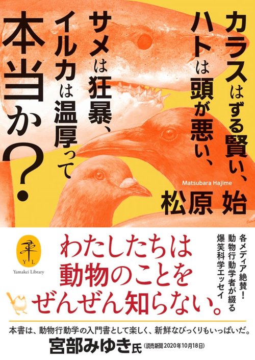 カラスはずる賢い、ハトは頭が悪い、サメは狂暴、イルカは温厚って本当か?