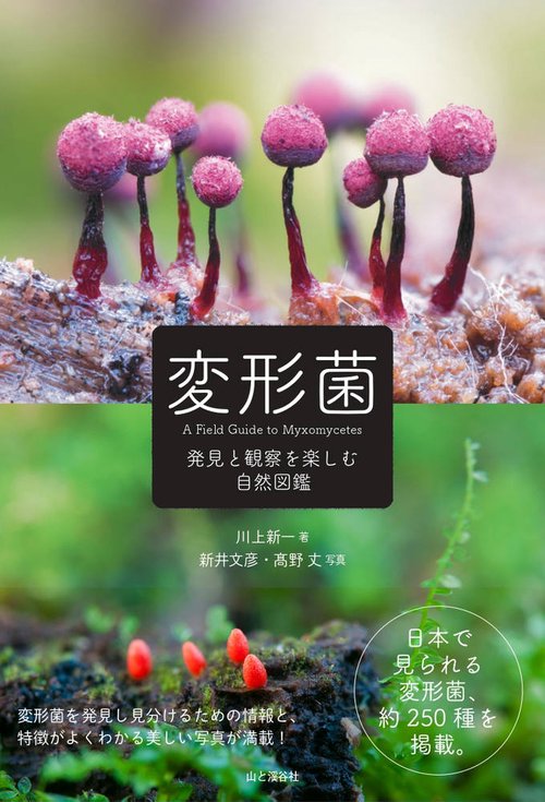 変形菌　発見と観察を楽しむ大人の自然図鑑