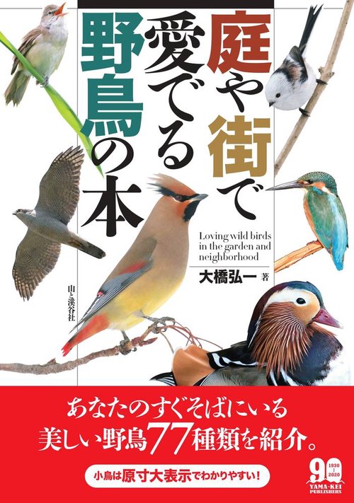 庭や街で愛でる野鳥の本