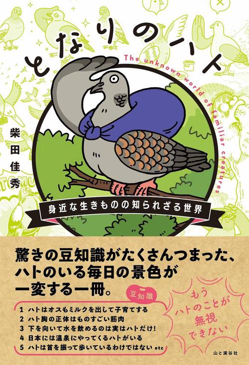 となりのハト　身近な生きものの知られざる世界