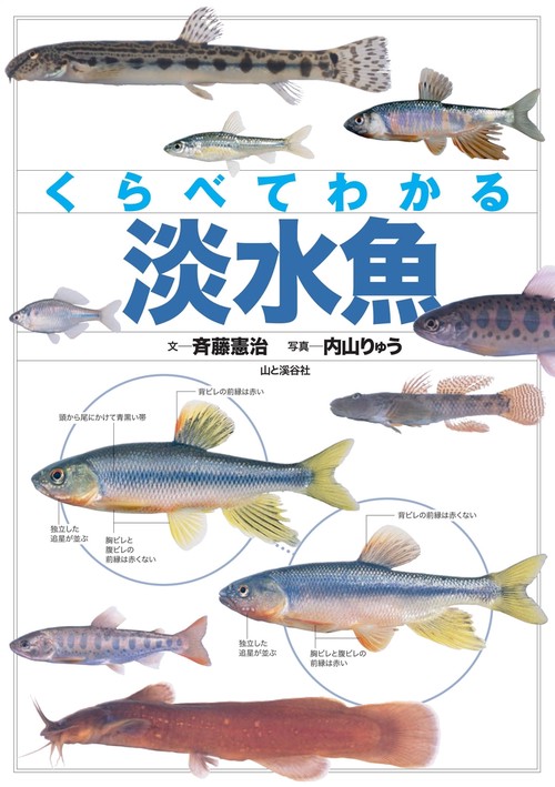 くらべてわかる淡水魚 識別ポイントで見分ける