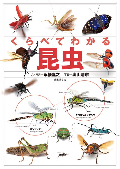 くらべてわかる昆虫 識別ポイントで見分ける
