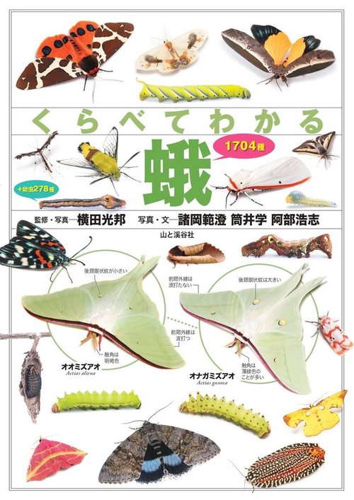 くらべてわかる　蛾　1704種