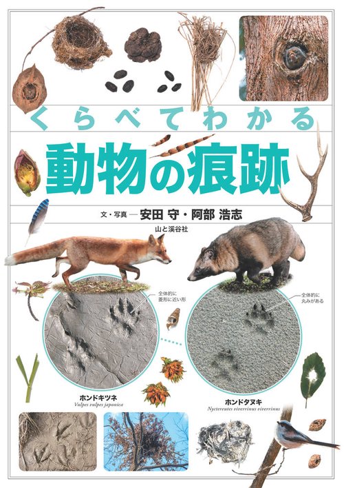 くらべてわかる動物の痕跡