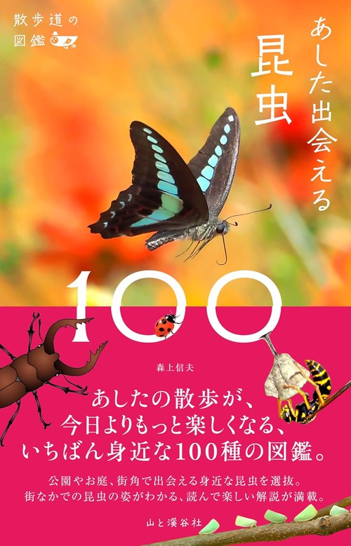 散歩道の図鑑 あした出会える昆虫100
