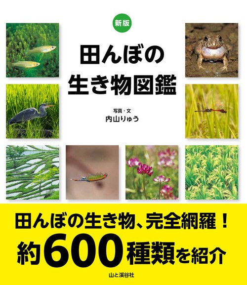 新版 田んぼの生き物図鑑
