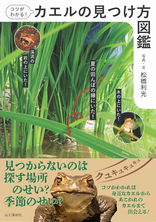 コツがわかる!カエルの見つけ方図鑑