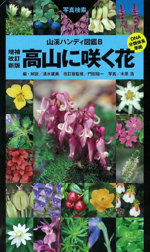高山に咲く花 写真検索