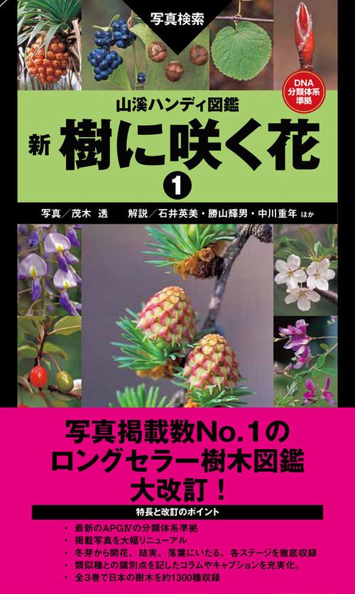 山溪ハンディ図鑑 新 樹に咲く花１