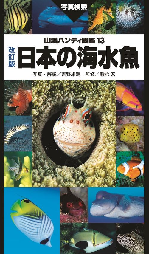日本の海水魚 写真検索