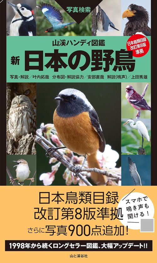 山溪ハンディ図鑑 　新 日本の野鳥