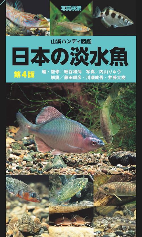 山溪ハンディ図鑑 日本の淡水魚 第4版