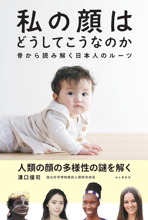 私の顔はどうしてこうなのか