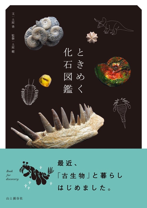 ときめく化石図鑑