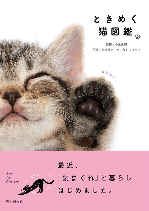 ときめく猫図鑑