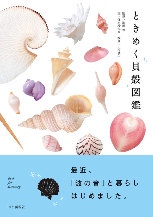 ときめく貝殻図鑑