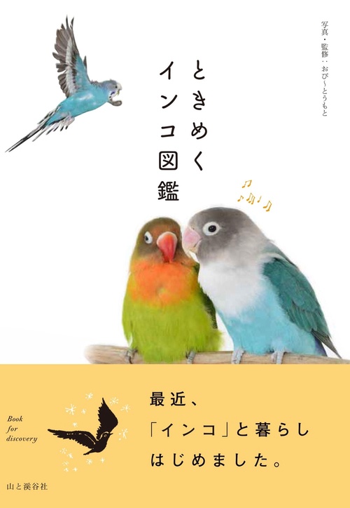 ときめくインコ図鑑