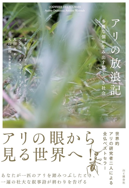 アリの放浪記 多様な個が生み出す驚くべき社会