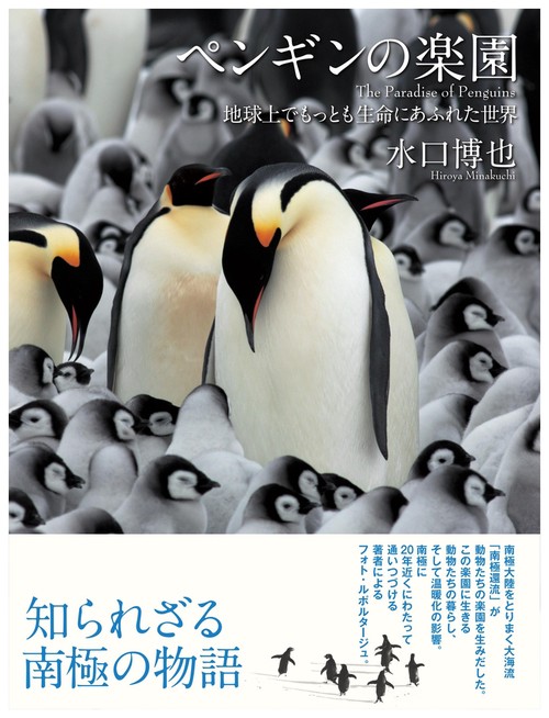 ペンギンの楽園 地球上でもっとも生命にあふれた世界