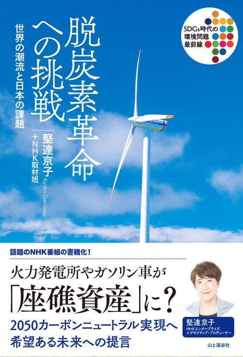 脱炭素革命への挑戦   世界の潮流と日本の課題