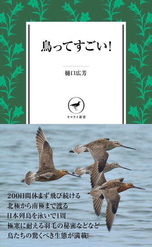 鳥ってすごい!