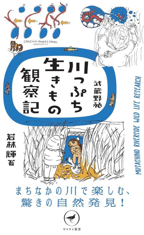 武蔵野発 川っぷち生きもの観察記