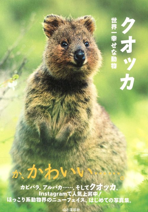 クオッカ 世界一幸せな動物