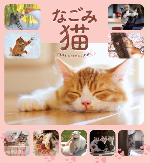 なごみ猫BEST SELECTION