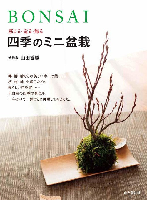 BONSAI 感じる・造る・飾る四季のミニ盆栽