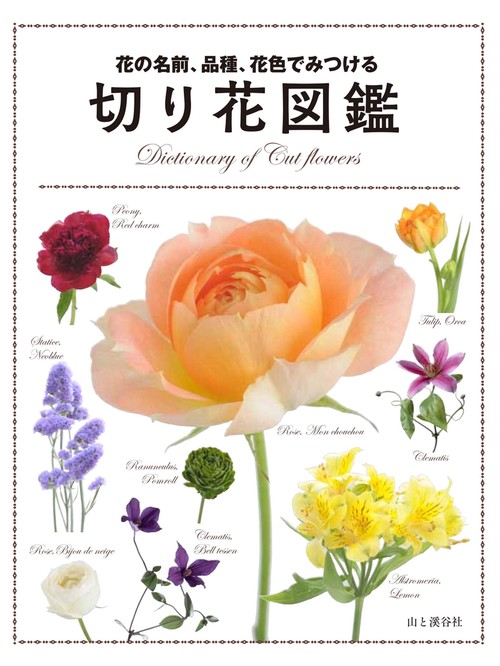 花の名前、品種、花色でみつける切り花図鑑