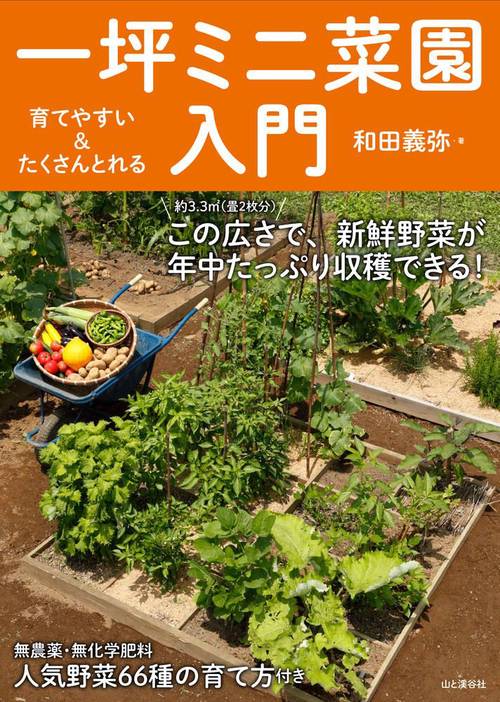育てやすい＆たくさんとれる　一坪ミニ菜園入門