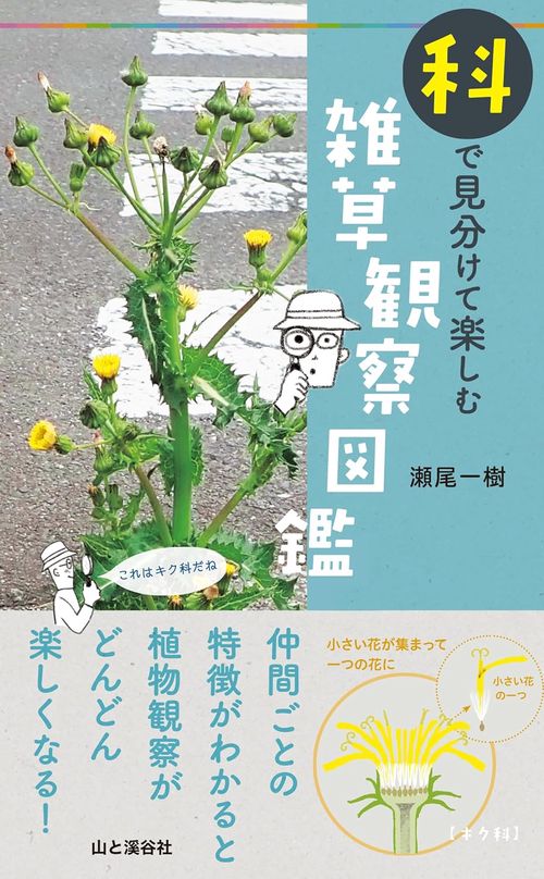 科で見分けて楽しむ 雑草観察図鑑