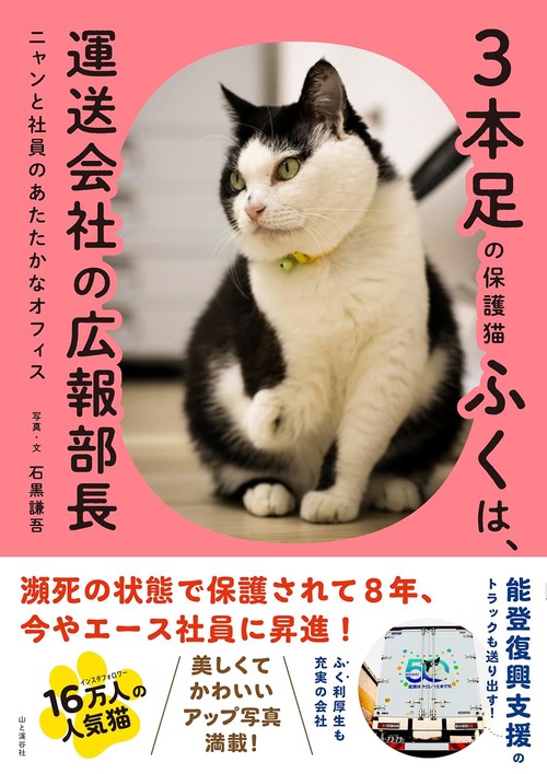 3本足の保護猫ふくは、運送会社の広報部長 ニャンと社員のあたたかなオフィス