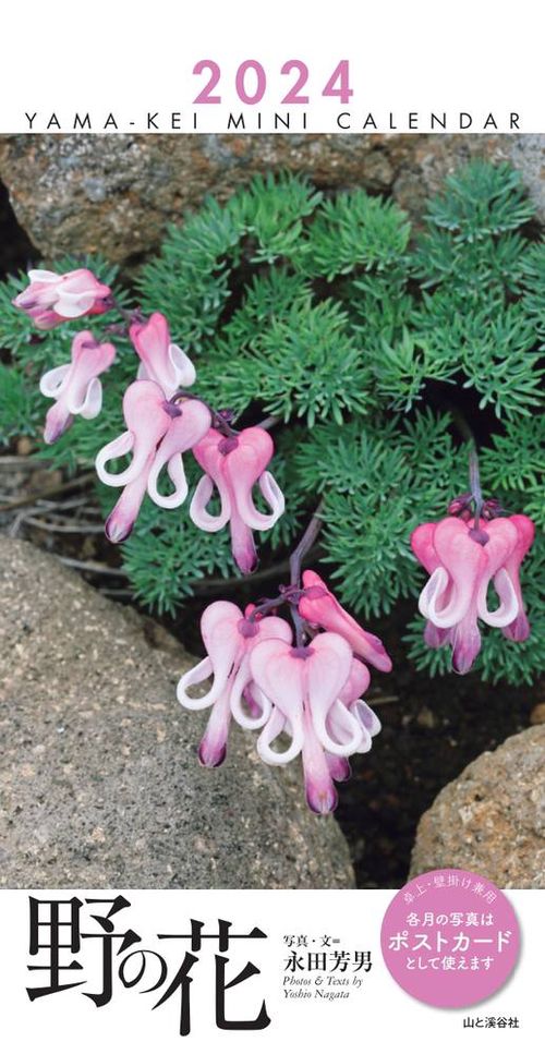'24 ミニカレンダー 野の花