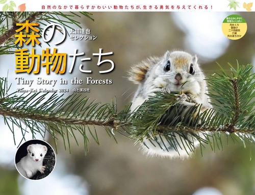 '24 カレンダー 森の動物たち