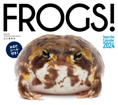 カレンダー '24 FROGS!