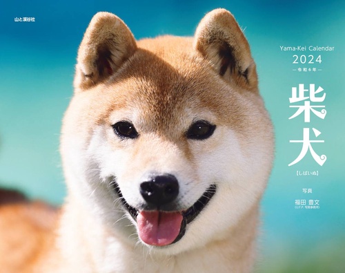 カレンダー '24 柴犬