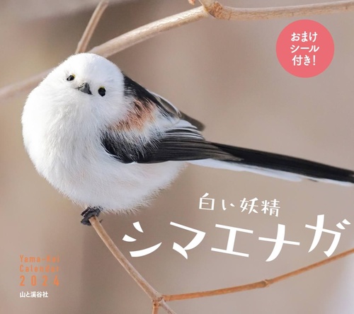 カレンダー '24 白い妖精シマエナガ