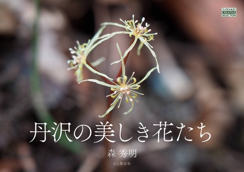 丹沢の美しき花たち
