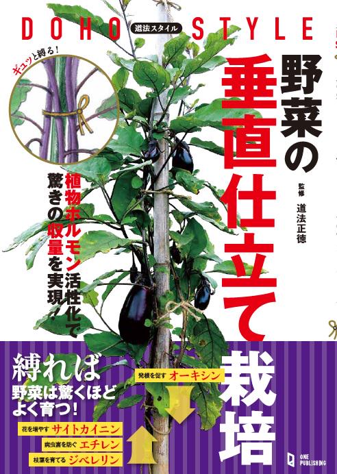 道法スタイル　野菜の垂直仕立て栽培