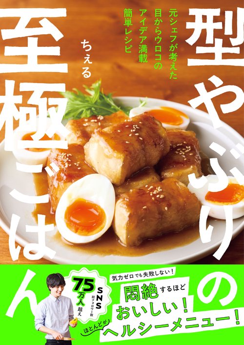 型やぶりの至極ごはん