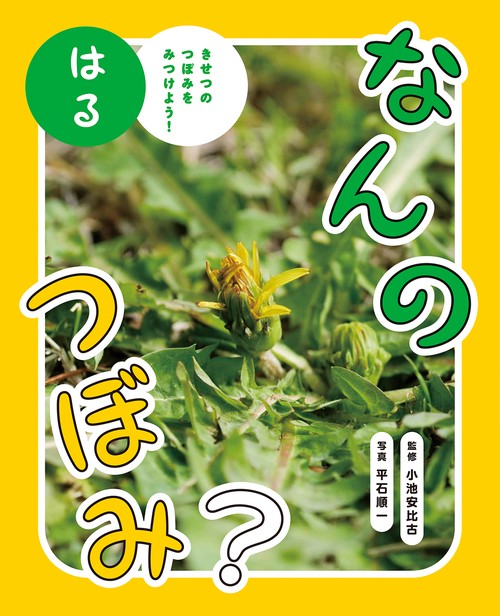 なんのつぼみ？　はる