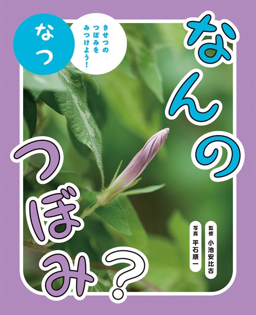 なんのつぼみ？　なつ