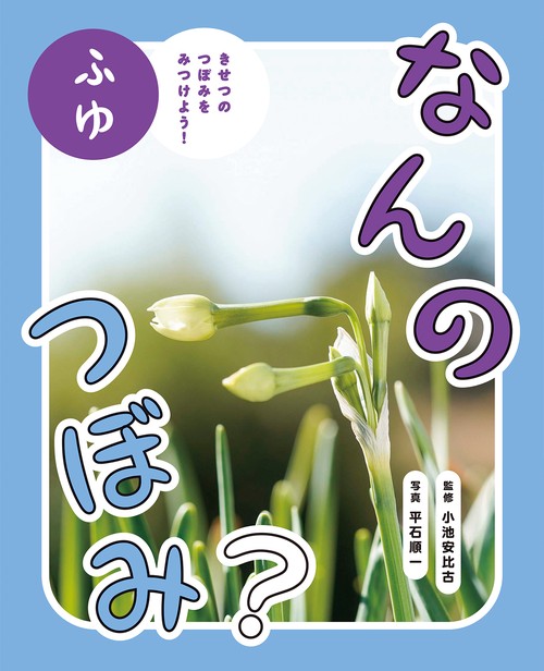 なんのつぼみ？　ふゆ