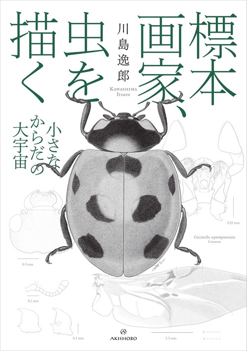 標本画家、虫を描く